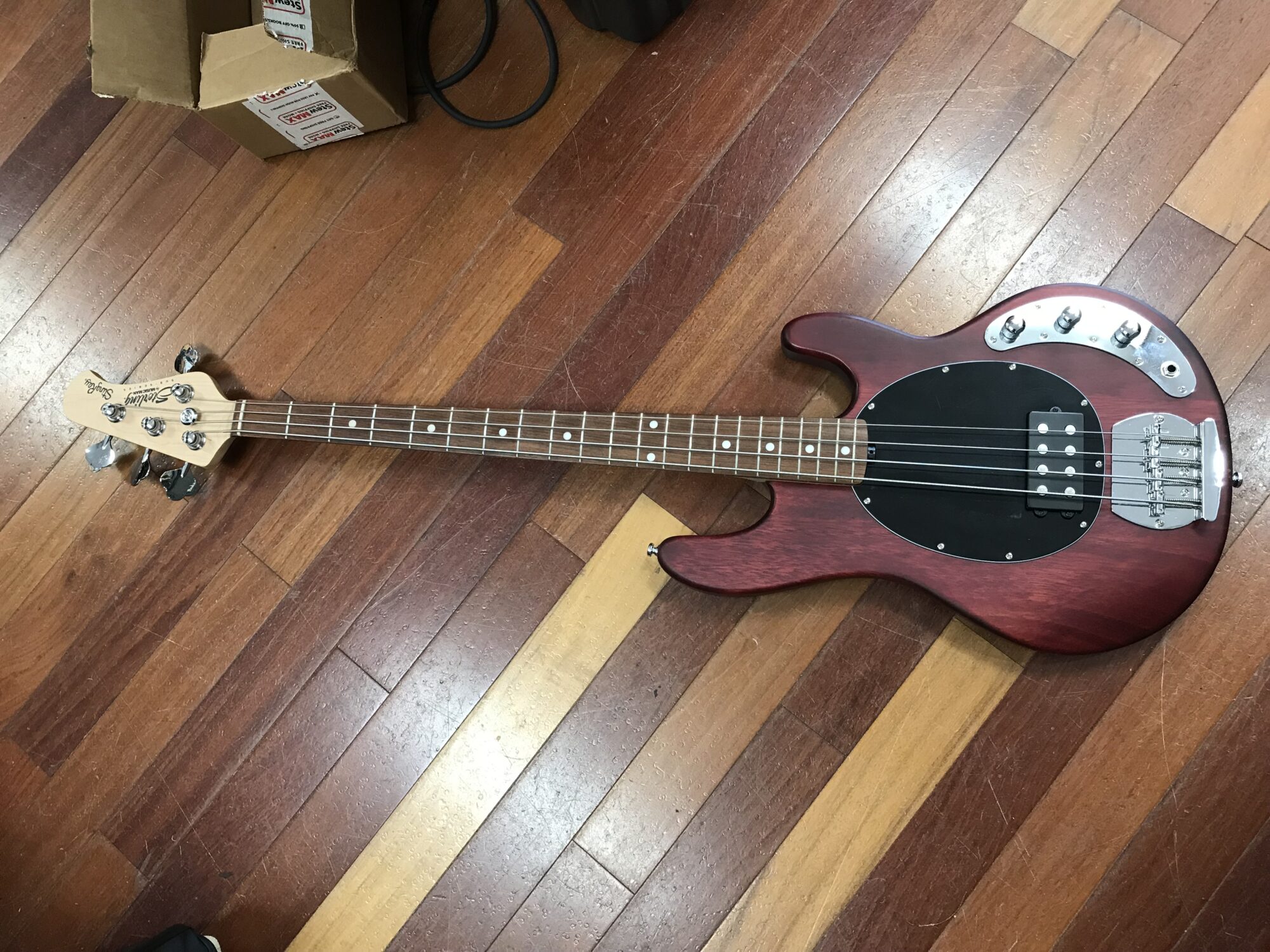 Sterling Stingray bass